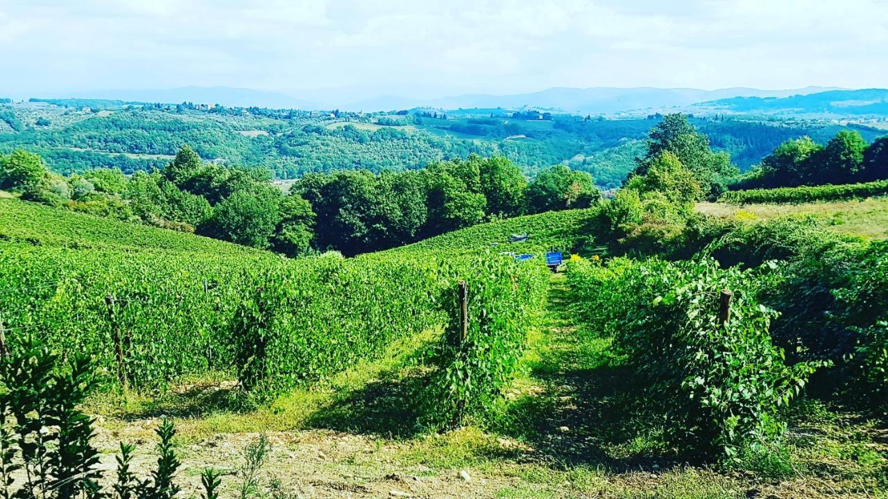 Agriturismo Sant'Ellero ซานกัสชาโน อิน วัลดีเปซา ภายนอก รูปภาพ