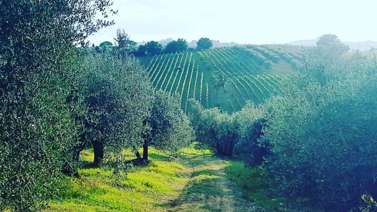 Agriturismo Sant'Ellero ซานกัสชาโน อิน วัลดีเปซา ภายนอก รูปภาพ